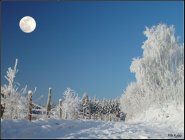 Click for large version